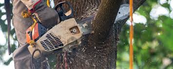 Lawn Watering Services in Vado, NM